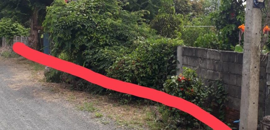 Land for sale near Sansai hospital , ที่ดิน 1 ไร่ 2 งานพร้อมบ้าน ใกล้ รพ. สันทราย เชียงใหม่