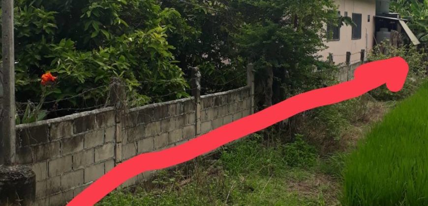 Land for sale near Sansai hospital , ที่ดิน 1 ไร่ 2 งานพร้อมบ้าน ใกล้ รพ. สันทราย เชียงใหม่