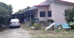 Land for sale near Sansai hospital , ที่ดิน 1 ไร่ 2 งานพร้อมบ้าน ใกล้ รพ. สันทราย เชียงใหม่