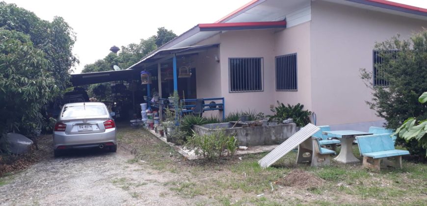 Land for sale near Sansai hospital , ที่ดิน 1 ไร่ 2 งานพร้อมบ้าน ใกล้ รพ. สันทราย เชียงใหม่