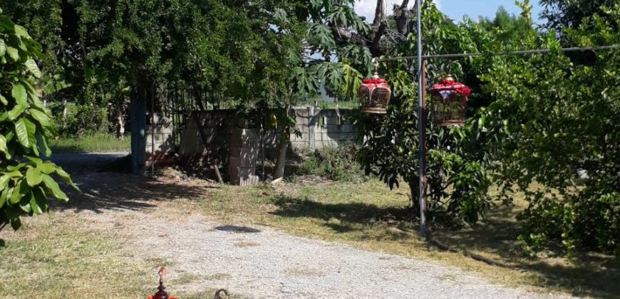 Land for sale near Sansai hospital , ที่ดิน 1 ไร่ 2 งานพร้อมบ้าน ใกล้ รพ. สันทราย เชียงใหม่