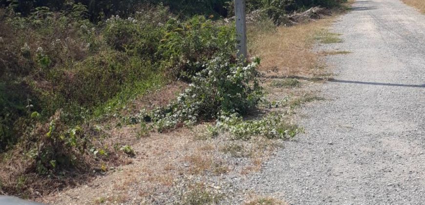 Land for sale Sansai District Chiangmai next to canal , ที่ดิน 1 ไร่ 3 งาน 43 ตารางวา ติดลำน้ำ กวง ต. หนองแหย่ง สันทราย เชียงใหม่ มีถนนเข้าถึงแปลงใหญ่