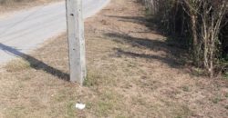 Land for sale Sansai District Chiangmai next to canal , ที่ดิน 1 ไร่ 3 งาน 43 ตารางวา ติดลำน้ำ กวง ต. หนองแหย่ง สันทราย เชียงใหม่ มีถนนเข้าถึงแปลงใหญ่