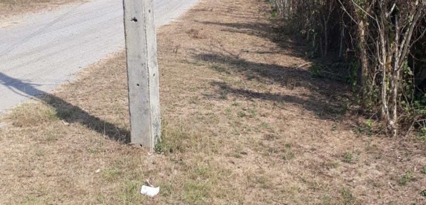 Land for sale Sansai District Chiangmai next to canal , ที่ดิน 1 ไร่ 3 งาน 43 ตารางวา ติดลำน้ำ กวง ต. หนองแหย่ง สันทราย เชียงใหม่ มีถนนเข้าถึงแปลงใหญ่