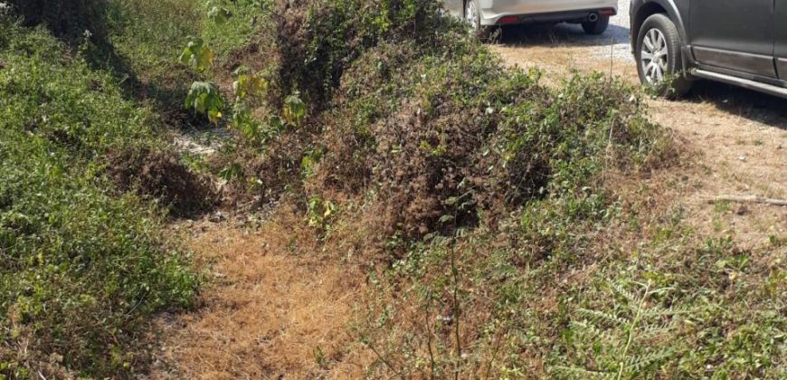 Land for sale Sansai District Chiangmai next to canal , ที่ดิน 1 ไร่ 3 งาน 43 ตารางวา ติดลำน้ำ กวง ต. หนองแหย่ง สันทราย เชียงใหม่ มีถนนเข้าถึงแปลงใหญ่