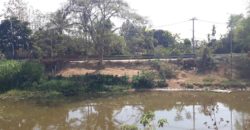 Land for sale Sansai District Chiangmai next to canal , ที่ดิน 1 ไร่ 3 งาน 43 ตารางวา ติดลำน้ำ กวง ต. หนองแหย่ง สันทราย เชียงใหม่ มีถนนเข้าถึงแปลงใหญ่