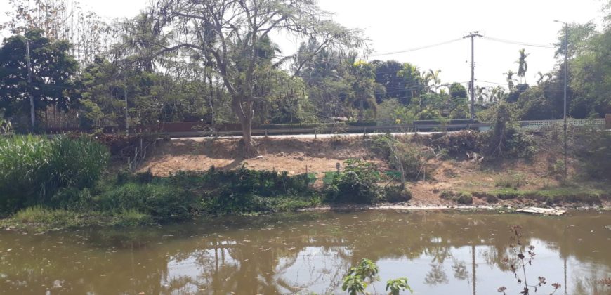 Land for sale Sansai District Chiangmai next to canal , ที่ดิน 1 ไร่ 3 งาน 43 ตารางวา ติดลำน้ำ กวง ต. หนองแหย่ง สันทราย เชียงใหม่ มีถนนเข้าถึงแปลงใหญ่