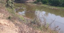 Land for sale Sansai District Chiangmai next to canal , ที่ดิน 1 ไร่ 3 งาน 43 ตารางวา ติดลำน้ำ กวง ต. หนองแหย่ง สันทราย เชียงใหม่ มีถนนเข้าถึงแปลงใหญ่