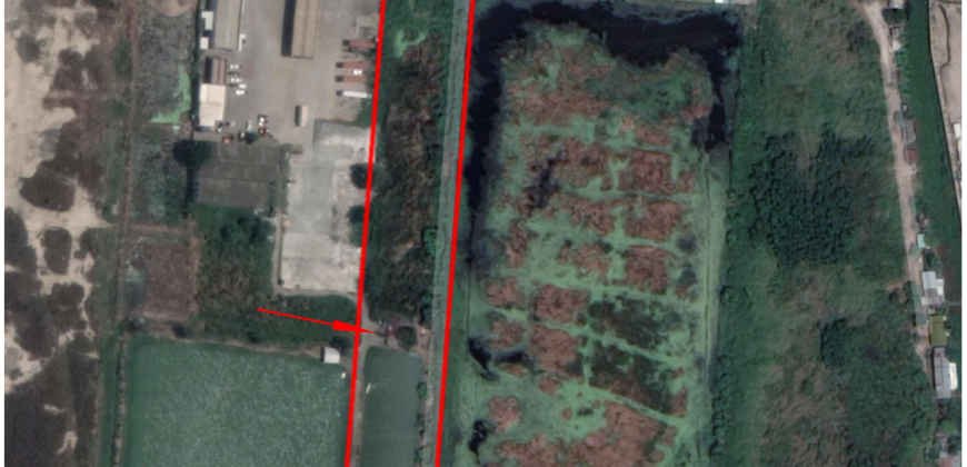 ขายที่ดินติดถนนเทพารักษ์ บางพลี สวยมาก เนื้อที่ 21 ไร่