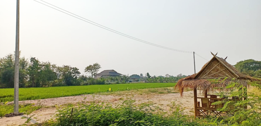 ที่ดินถมแล้ว 8 แปลง 1 ไร่ 2 งาน 26 ตรว.