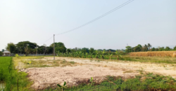 ที่ดินถมแล้ว 8 แปลง 1 ไร่ 2 งาน 26 ตรว.