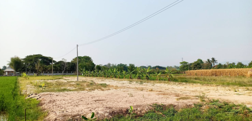 ที่ดินถมแล้ว 8 แปลง 1 ไร่ 2 งาน 26 ตรว.