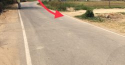 ต้องการขายที่ดิน 1 ไร่ 87 ตรว. สันป่าเปา สันทราย เชียงใหม่