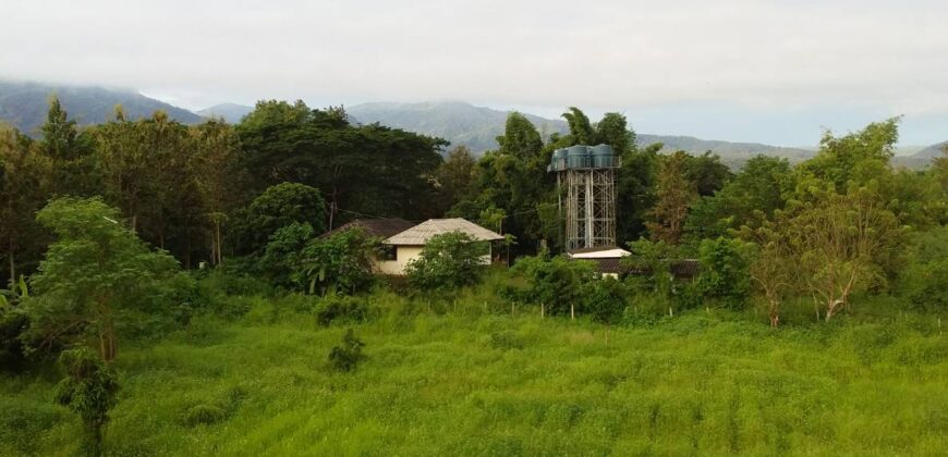 บ้าน 3 ชั้น รวมห้องใต้ดิน ใกล้Makroแม่ริม