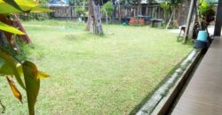 บ้านชั้นเดียว 180 ตรว. ถ.สันกำแพงตัดใหม่