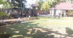 บ้านชั้นเดียว 180 ตรว. ถ.สันกำแพงตัดใหม่