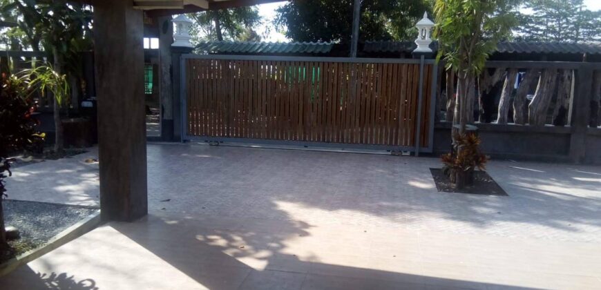 บ้านชั้นเดียว 180 ตรว. ถ.สันกำแพงตัดใหม่