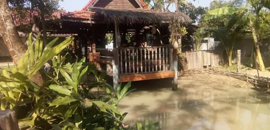 บ้านชั้นเดียว 180 ตรว. ถ.สันกำแพงตัดใหม่