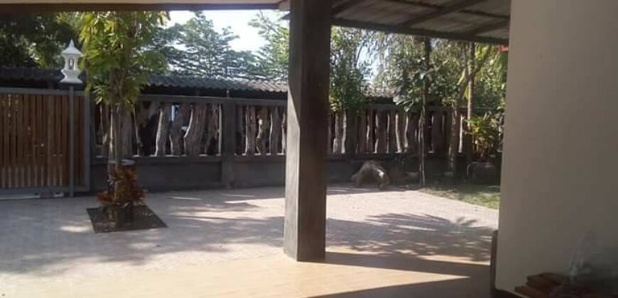 บ้านชั้นเดียว 180 ตรว. ถ.สันกำแพงตัดใหม่