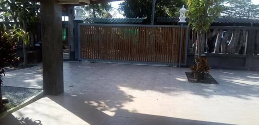 บ้านชั้นเดียว 180 ตรว. ถ.สันกำแพงตัดใหม่