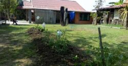 บ้านชั้นเดียว 180 ตรว. ถ.สันกำแพงตัดใหม่