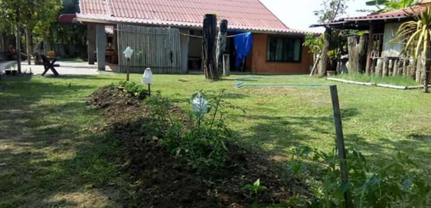 บ้านชั้นเดียว 180 ตรว. ถ.สันกำแพงตัดใหม่