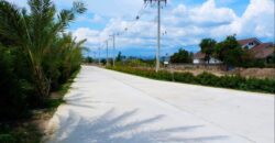 ที่ดินจัดสรร ถ.สันกำแพงสายใหม่ ที่ดินจัดสรร ถ.สันกำแพงสายใหม่