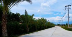 ที่ดินจัดสรร ถ.สันกำแพงสายใหม่ ที่ดินจัดสรร ถ.สันกำแพงสายใหม่