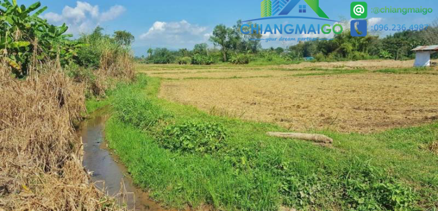 ที่ดินสวย ต.สบเปิง แม่แตง ติดน้ำเหมือง 548 ตรว. ที่ดินสวย ต.สบเปิง แม่แตง ติดน้ำเหมือง 548 ตรว.